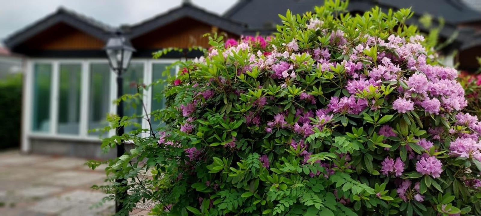 Ferienwohnung Kleine Kegelrobbe Burhave Bagian luar foto
